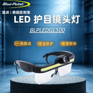 BLPLEDGL500